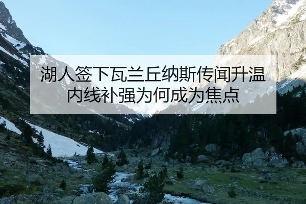 湖人签下瓦兰丘纳斯传闻升温 内线补强为何成为焦点